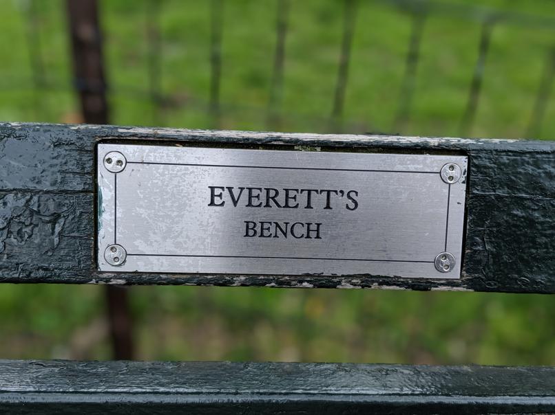 I saw this bench in Central Park