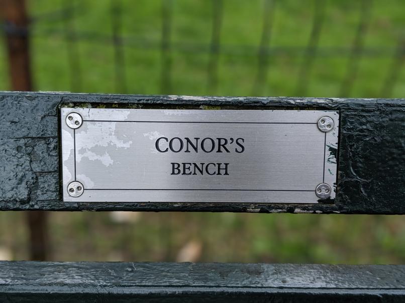 I saw this bench in Central Park