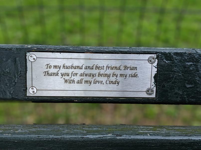 I saw this bench in Central Park