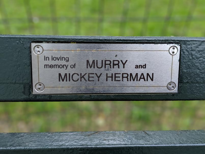 I saw this bench in Central Park