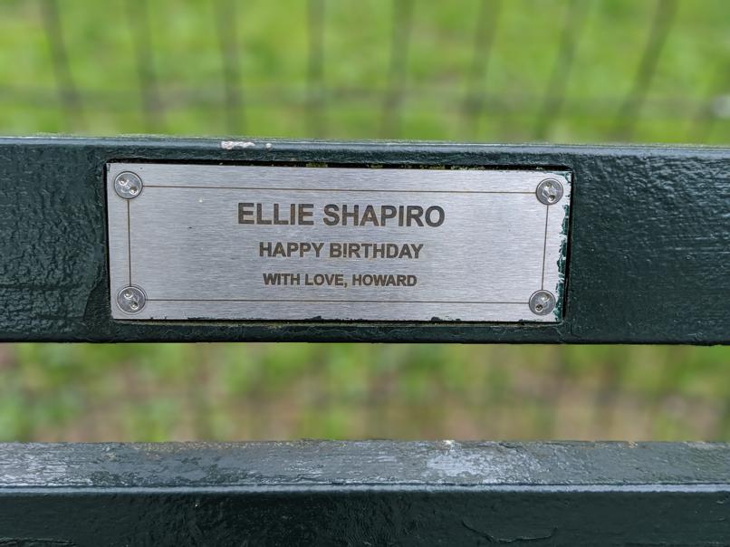 I saw this bench in Central Park