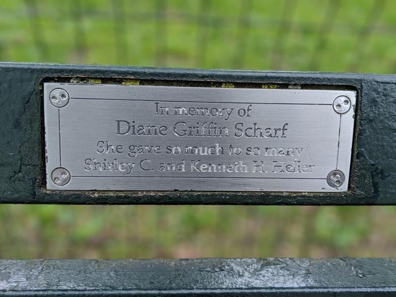 I saw this bench in Central Park