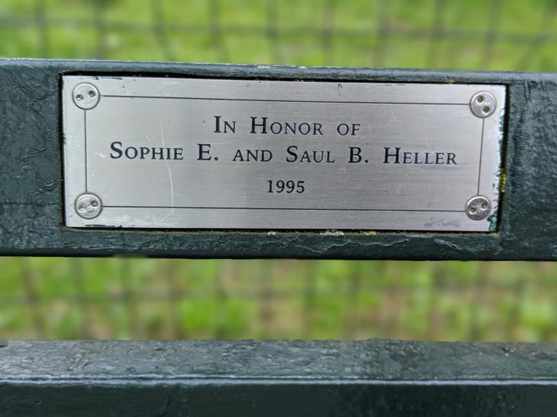 I saw this bench in Central Park