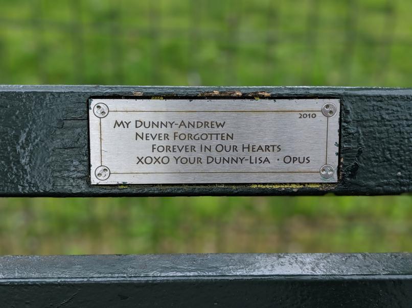 I saw this bench in Central Park