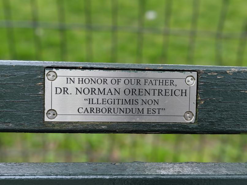 I saw this bench in Central Park