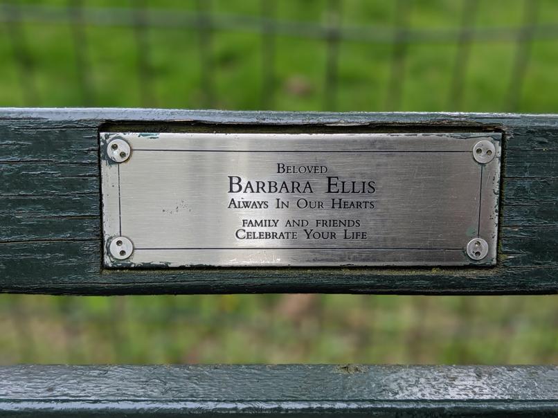 I saw this bench in Central Park