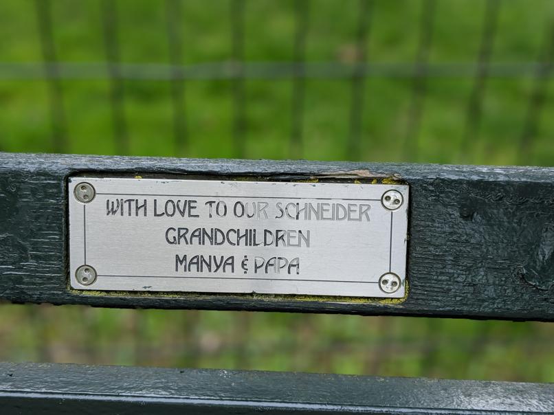 I saw this bench in Central Park