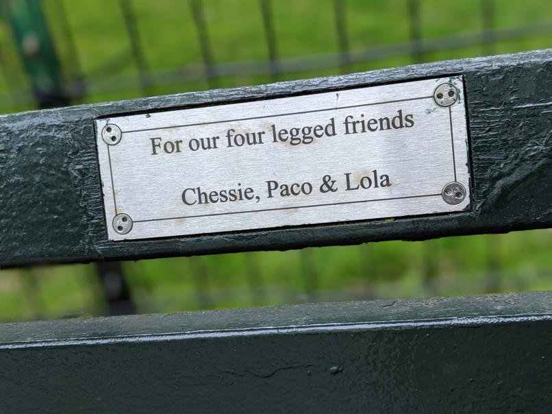 I saw this bench in Central Park