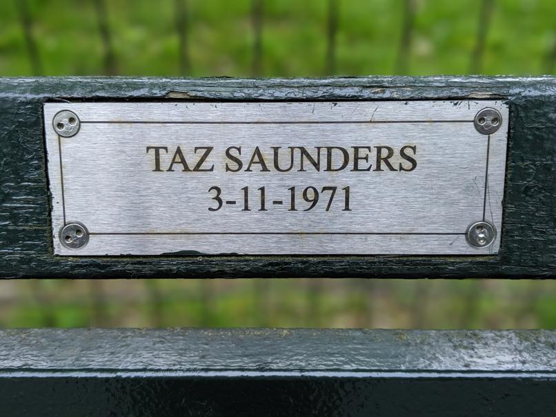 I saw this bench in Central Park