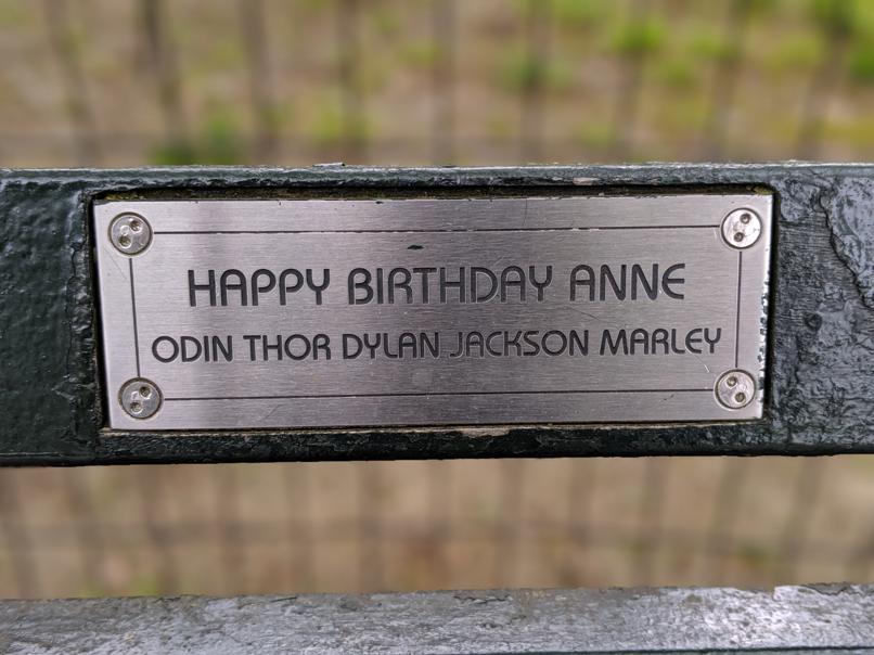 I saw this bench in Central Park