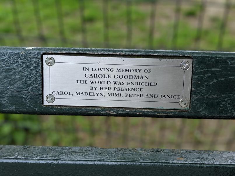 I saw this bench in Central Park