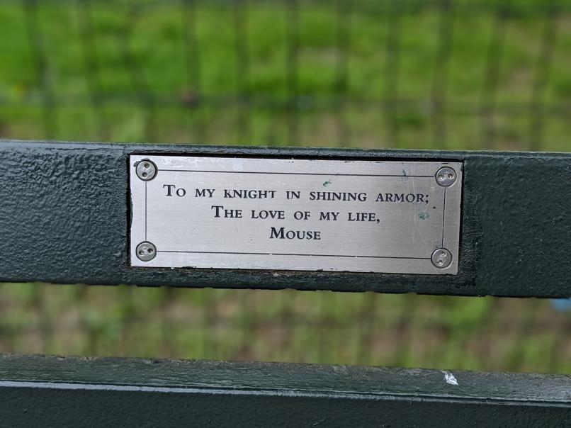 I saw this bench in Central Park