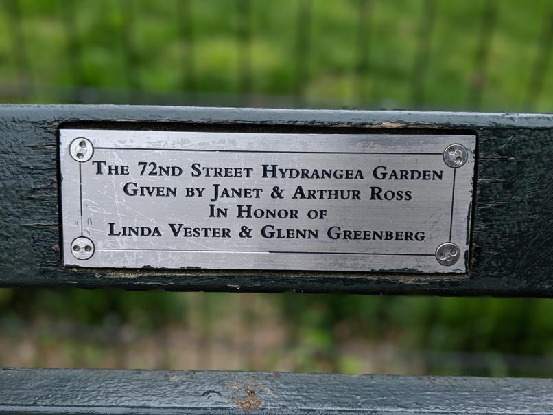 I saw this bench in Central Park