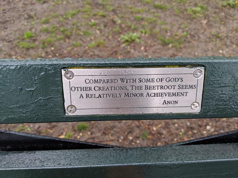 I saw this bench in Central Park