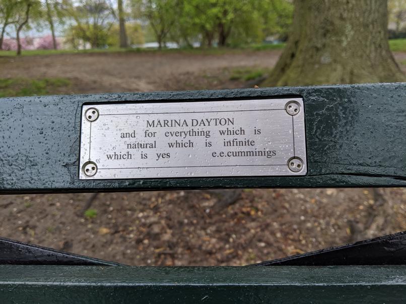 I saw this bench in Central Park