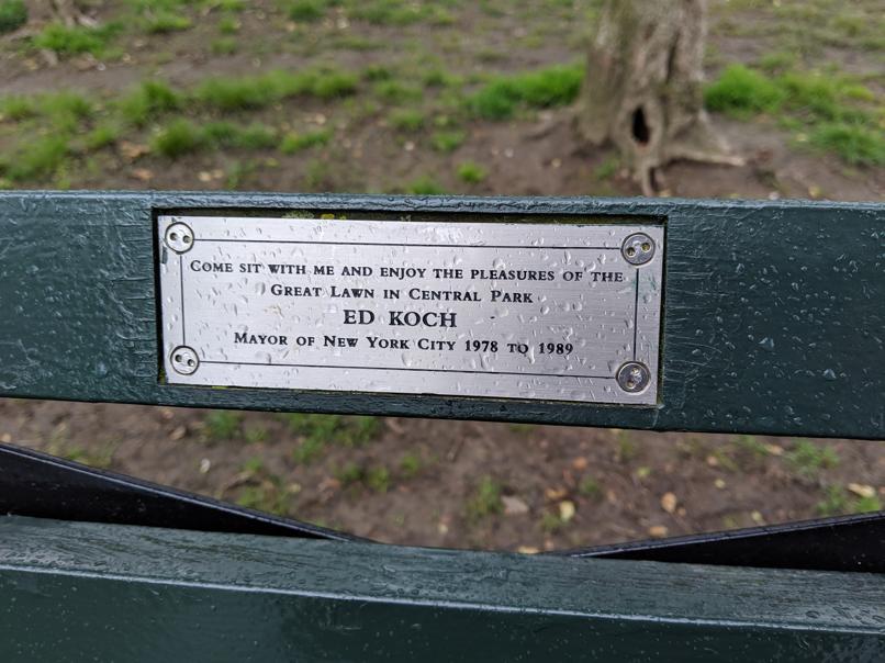 I saw this bench in Central Park