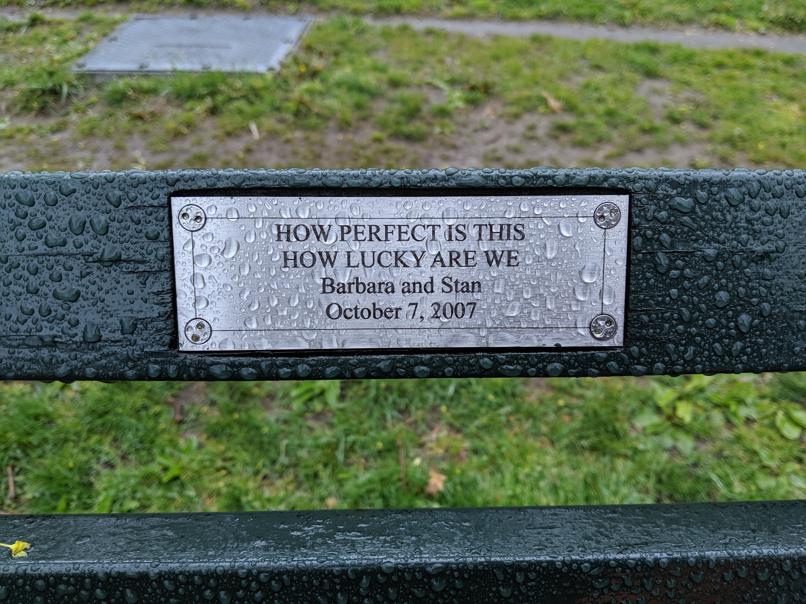 I saw this bench in Central Park