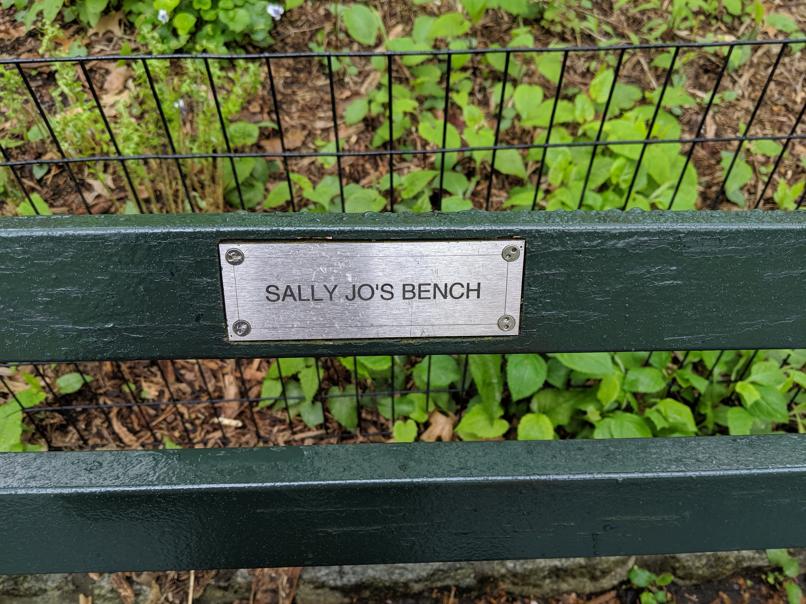 I saw this bench in Central Park