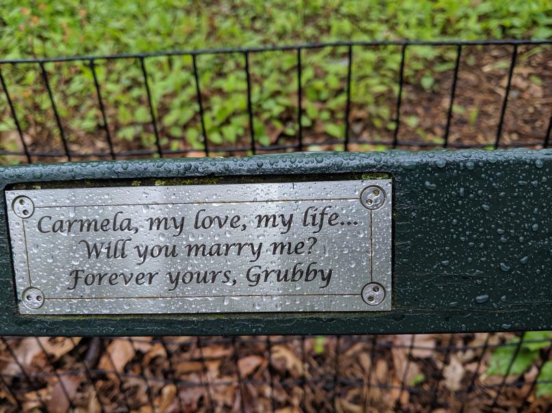 I saw this bench in Central Park