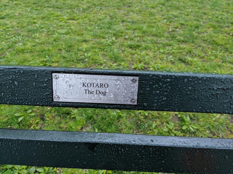 I saw this bench in Central Park