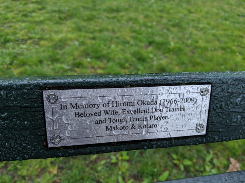 I saw this bench in Central Park