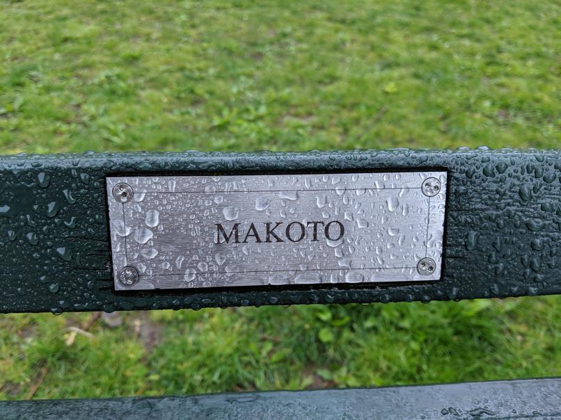 I saw this bench in Central Park