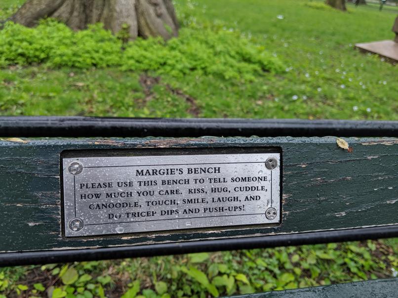 I saw this bench in Central Park