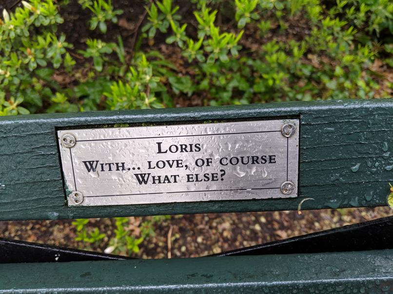 I saw this bench in Central Park