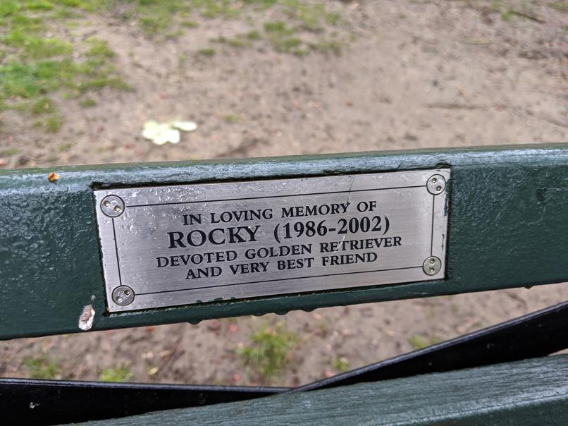 I saw this bench in Central Park