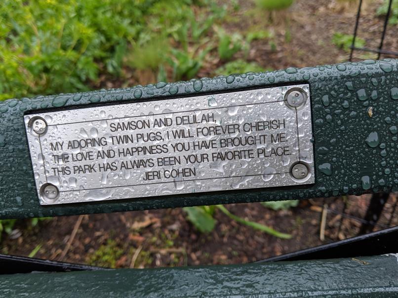 I saw this bench in Central Park