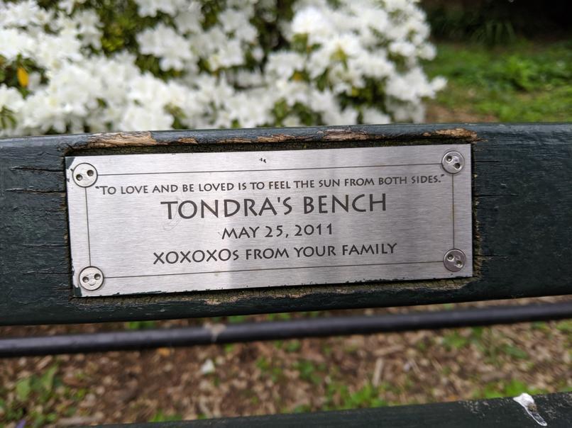 I saw this bench in Central Park