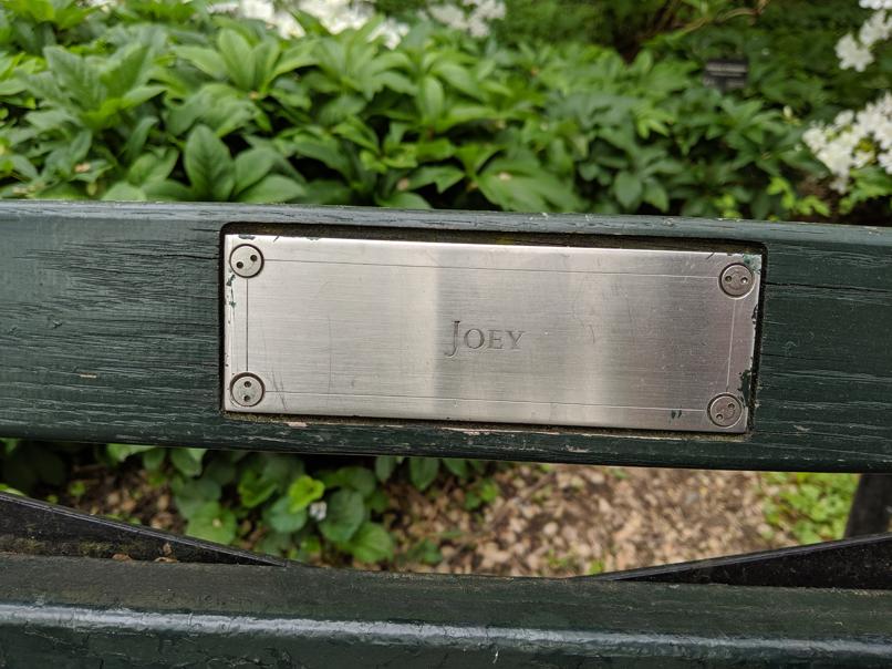 I saw this bench in Central Park