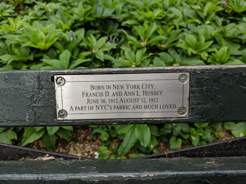 I saw this bench in Central Park