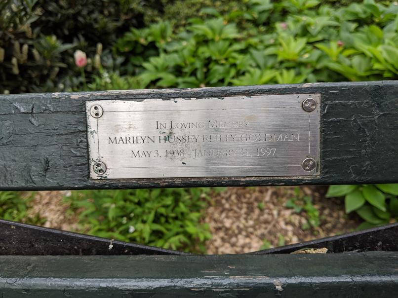 I saw this bench in Central Park