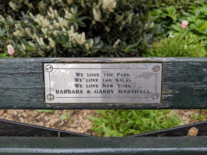 I saw this bench in Central Park