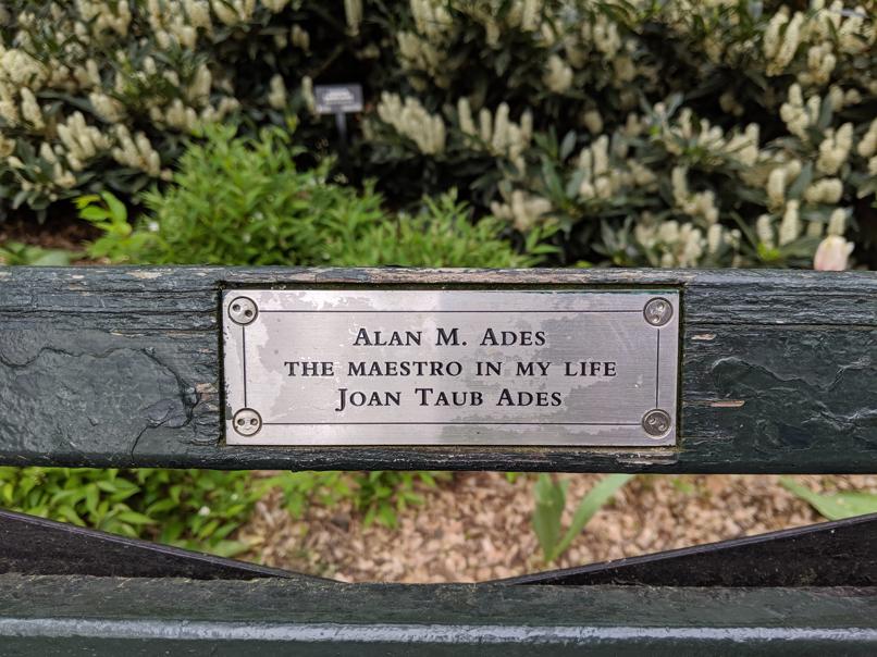 I saw this bench in Central Park