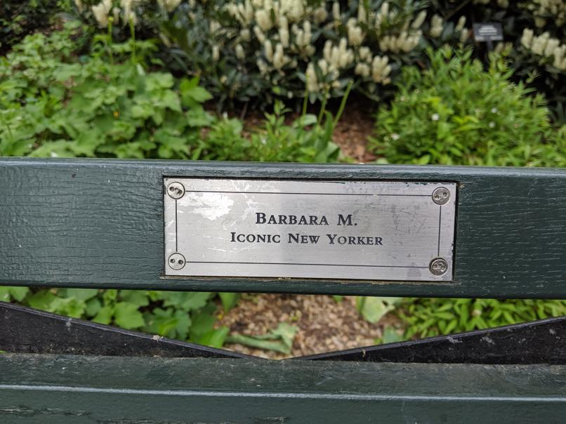 I saw this bench in Central Park