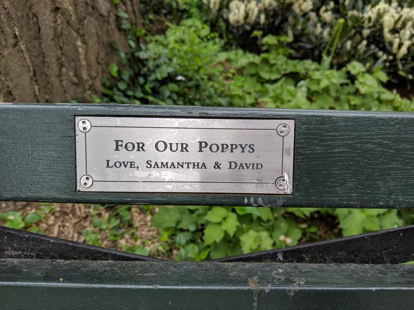 I saw this bench in Central Park