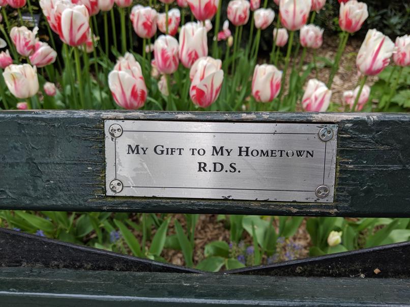 I saw this bench in Central Park