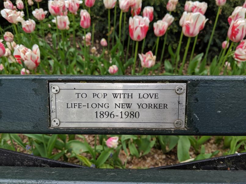 I saw this bench in Central Park