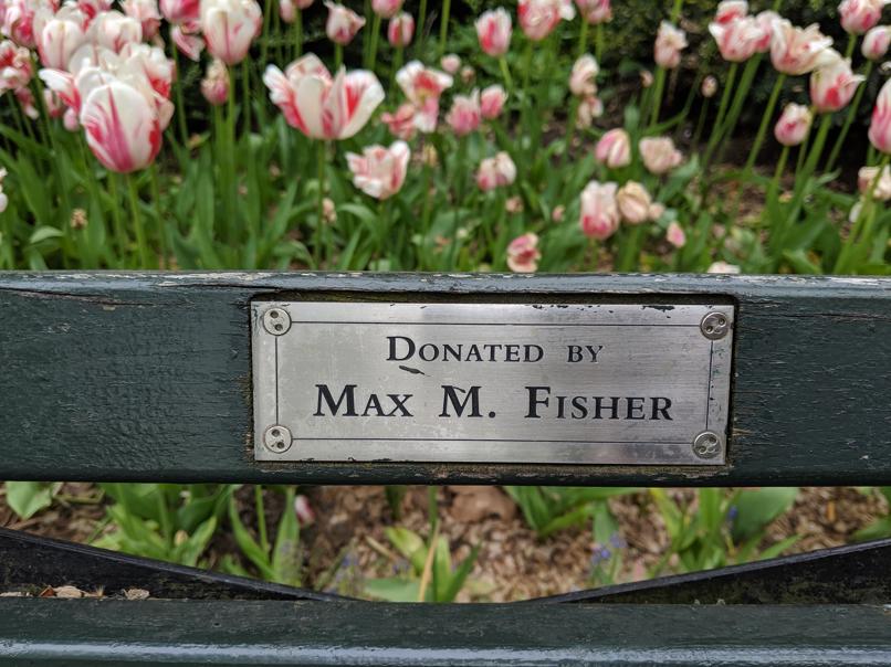 I saw this bench in Central Park