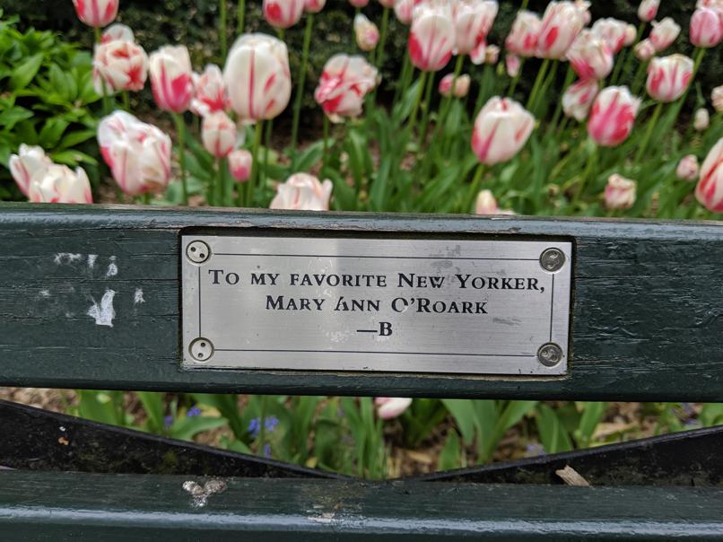 I saw this bench in Central Park