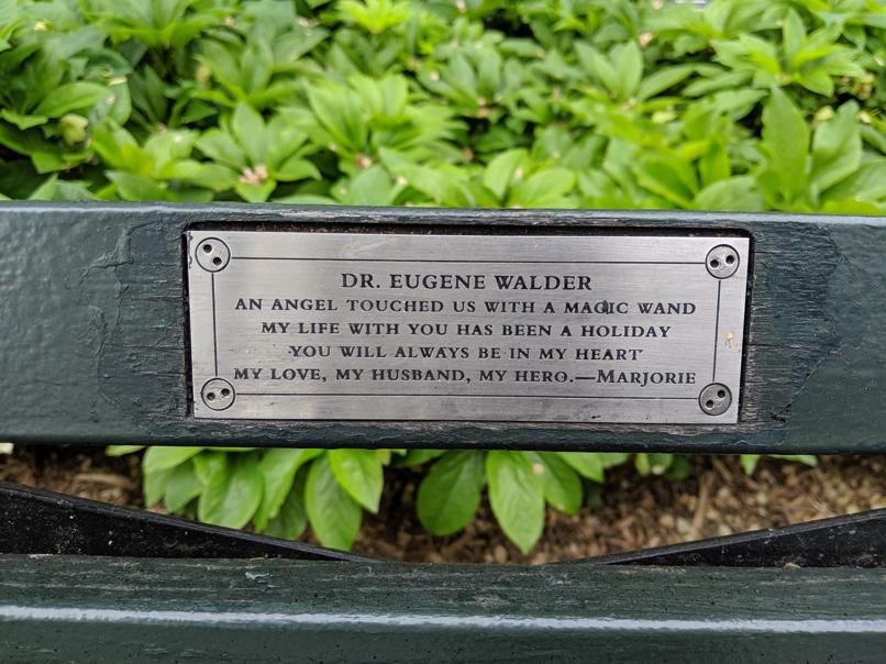 I saw this bench in Central Park