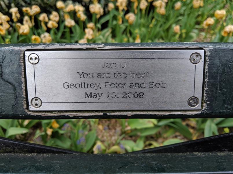 I saw this bench in Central Park