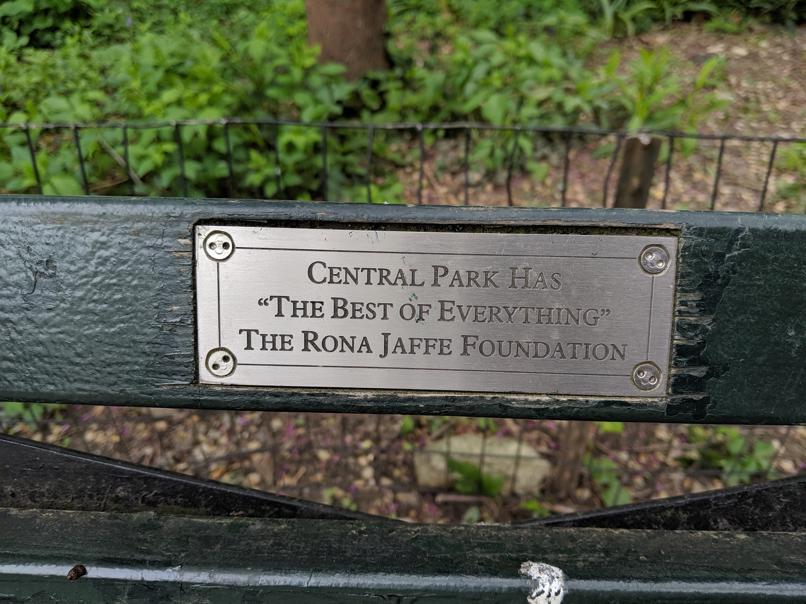 I saw this bench in Central Park