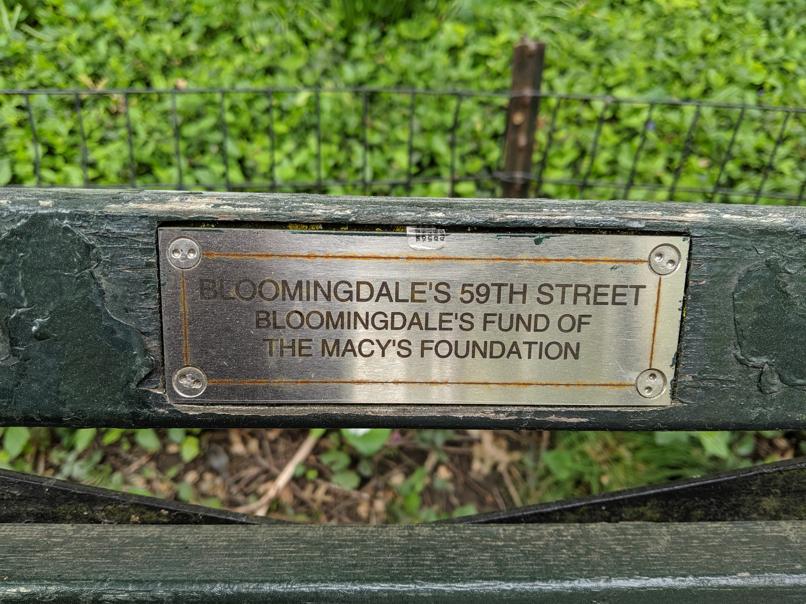 I saw this bench in Central Park