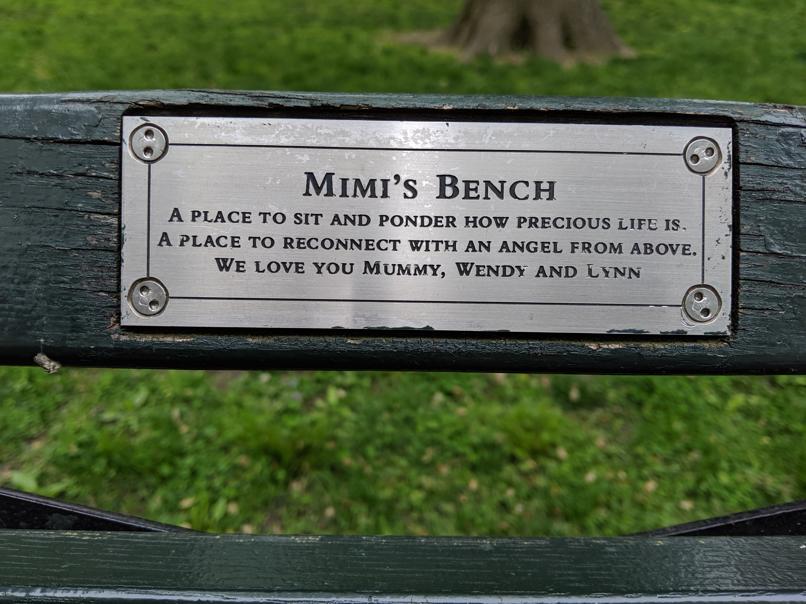 I saw this bench in Central Park