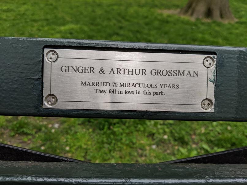 I saw this bench in Central Park