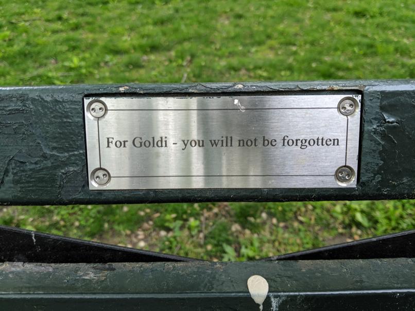 I saw this bench in Central Park