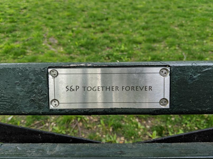 I saw this bench in Central Park